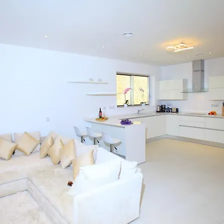 Flamingo * Адехе